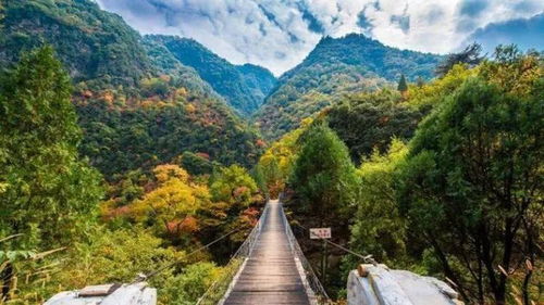 因地制宜，特色引领 不同类型旅游区的项目策划与开发咨询指南